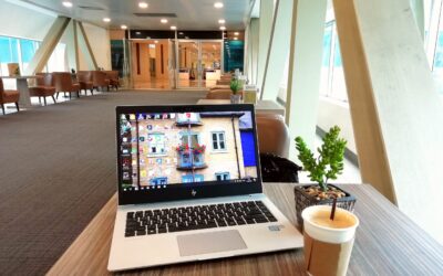 E-Commerce Brand Management