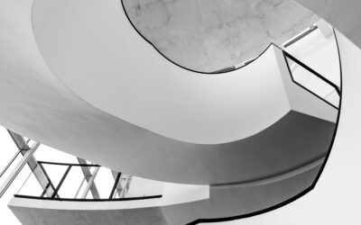 Objectivism – A Distanced Perspective for MSME, Corporate & Startup Professionals